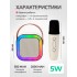 Детская колонка для пения с микрофоном, RGB подсветкой и Bluetooth Белая