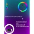 Кольцевая лампа RGB (цветная) 26 см со штативом 2 метра и с держателем для телефона