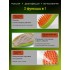 Щетка-расческа с паром для вычесывания шерсти животных Massage comb Зеленая