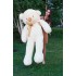 Плюшевый мишка Teddy Boom Тедди 140 см кремовый Плюшевый мишка Teddy Boom Тедди 140 см кремовый