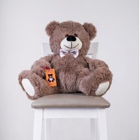 Маленький плюшевый мишка UToys Джеймс 65 см капучино
